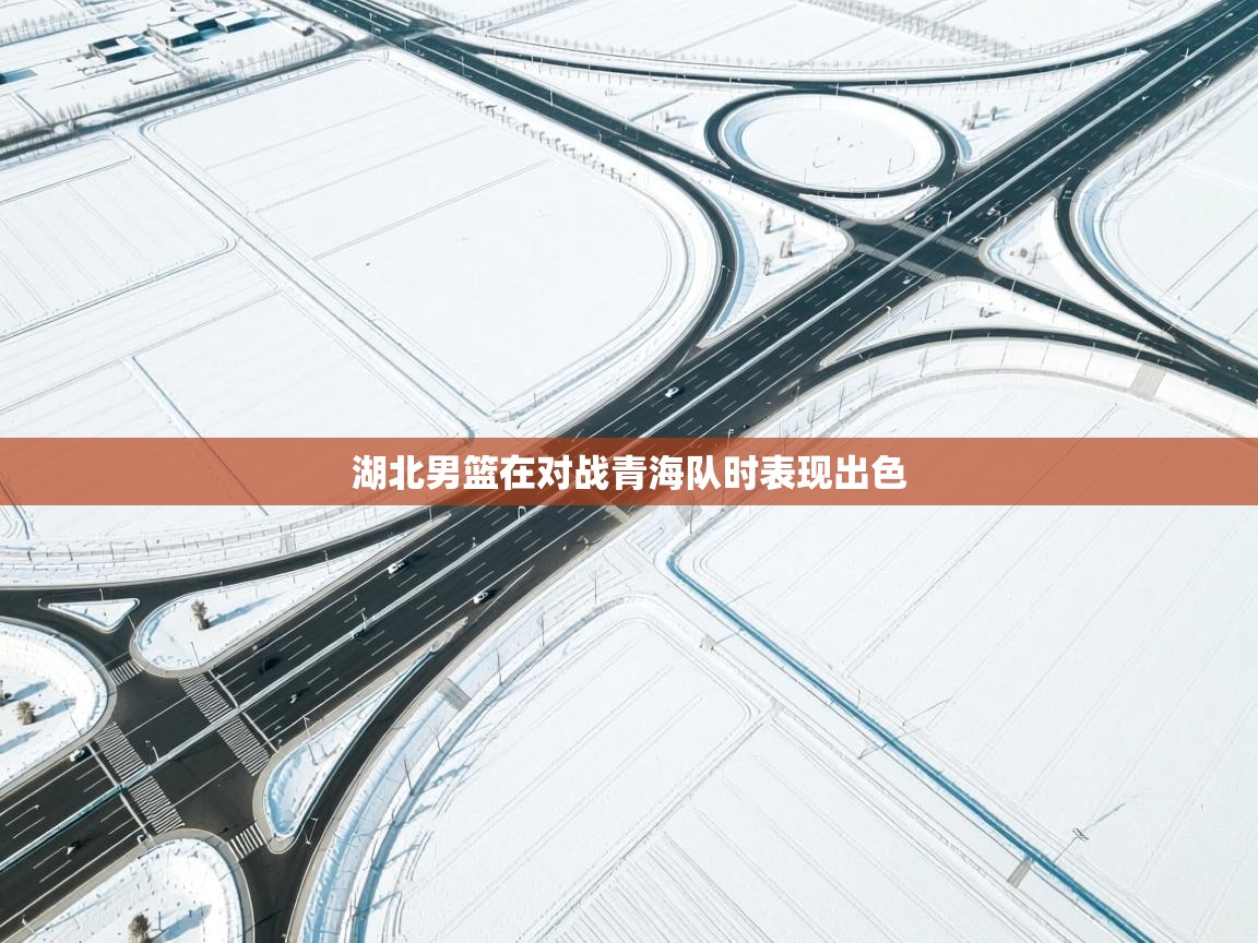 湖北男篮在对战青海队时表现出色